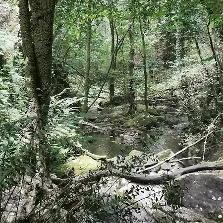 Ferienhaus In Mitten Der Natur.